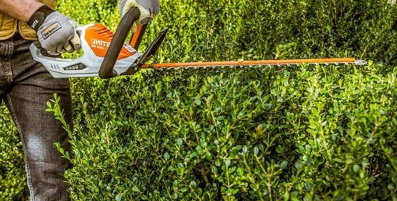 trimming shrubs